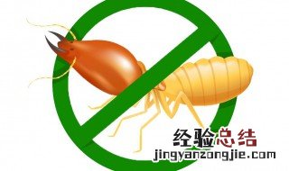 白蚁怎么治 树长了白蚁怎么治