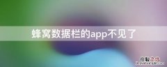 蜂窝数据栏的app不见了