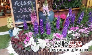 新手如何开花店 开花店方法