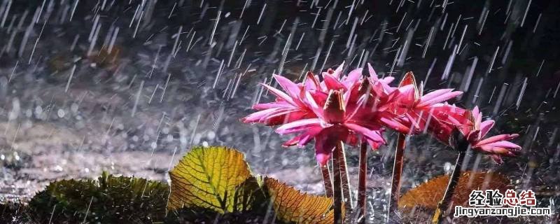 梅雨季节开窗通风的最佳时间