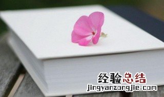 糊弄学家是什么意思 糊弄学家详解