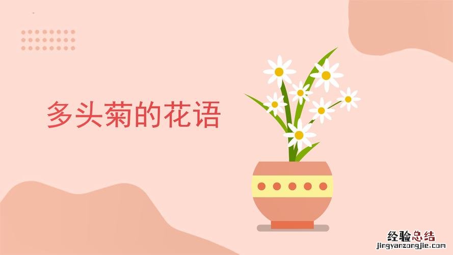 多头菊可以水养吗，怎么水养