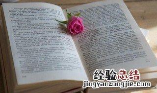 抖音昵称取什么名字好 女人气质独特一点的网名