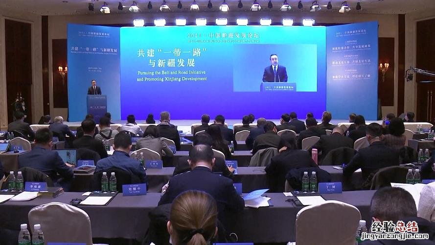 央视为什么说张维为是瑞士人