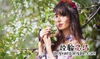 什么是娘惹 什么是娘惹和巴巴家族
