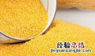 如何挑选小米 怎么挑选小米