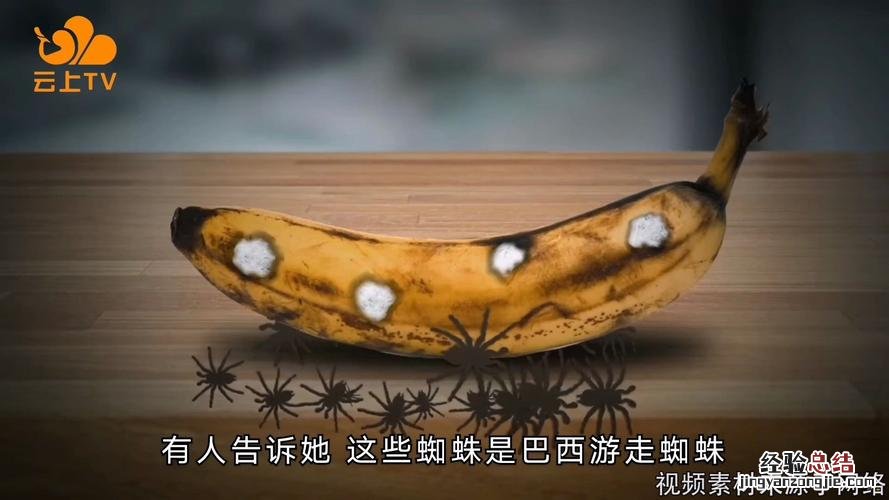 毒闪电发货鉴别吗