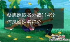 蔡惠娟取名分数114分 何凤娟姓名打分