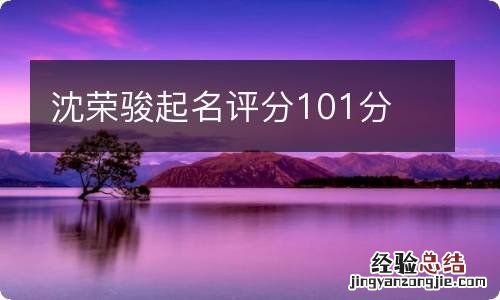 沈荣骏起名评分101分