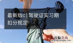 最新版c1驾驶证实习期扣分规定