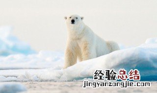 一年中最冷的是大寒还是大雪 一年当中最冷的是哪天