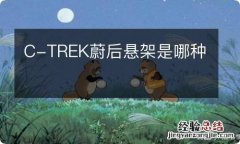 C-TREK蔚后悬架是哪种