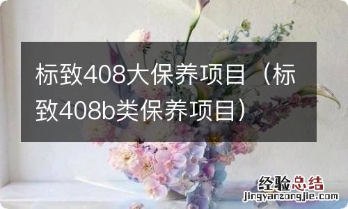 标致408b类保养项目 标致408大保养项目