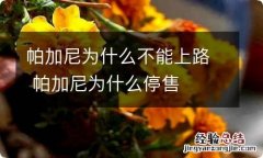 帕加尼为什么不能上路 帕加尼为什么停售