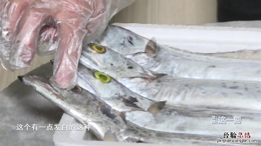 带鱼脑袋可以吃吗
