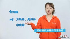 true是什么意思