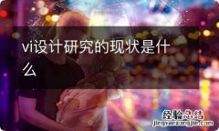 vi设计研究的现状是什么