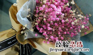 干花满天星怎么养才不会枯萎 干花满天星如何养才不会枯萎