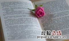 微信名称女唯美淡雅 微信名称女唯美淡雅英文