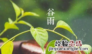 不到谷雨不能种瓜吗 不到谷雨不能种瓜吗什么意思