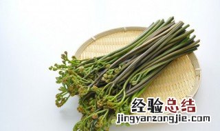 蕨菜保存很久 蕨菜怎么保存的更久