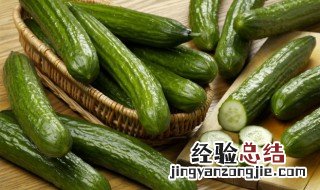 水黄瓜和旱黄瓜有什么区别 水黄瓜和旱黄瓜的区别主要有哪些