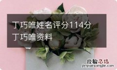 丁巧唯姓名评分114分 丁巧唯资料