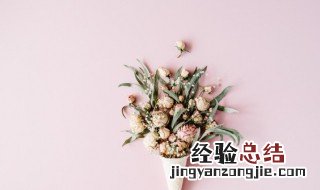 鲜花如何做干花不褪色 鲜花怎么做干花不褪色