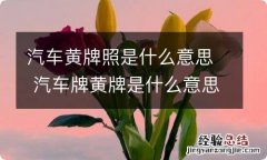 汽车黄牌照是什么意思 汽车牌黄牌是什么意思