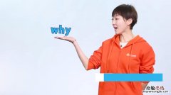 why什么意思