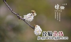 小满惊蛰芒种哪个不属于夏季 小满惊蛰芒种不属于夏季的节气