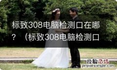 标致308电脑检测口在哪图片视频 标致308电脑检测口在哪？