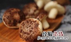 求助香菇可以放冰箱吗 香菇可以放冰箱里面吗