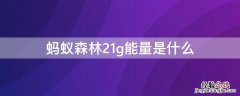 蚂蚁森林21g能量是什么