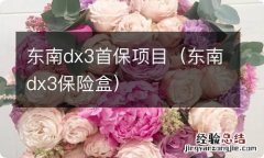 东南dx3保险盒 东南dx3首保项目