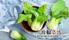 上海青是不是小油菜 上海青和油菜的区别