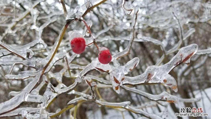 冰雪融化是不是成语