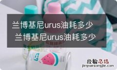 兰博基尼urus油耗多少 兰博基尼urus油耗多少钱