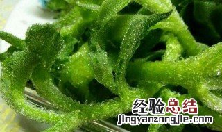 冰菜栽培技术 冰菜栽培技术视频