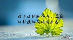 说说短语几个字