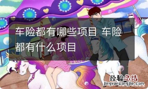 车险都有哪些项目 车险都有什么项目