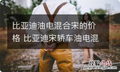 比亚迪油电混合宋的价格 比亚迪宋轿车油电混合价格