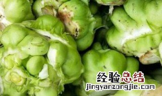 榨菜如何种植技术 榨菜怎么养