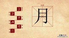 月字旁的字与什么有关