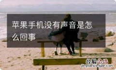 苹果手机没有声音是怎么回事