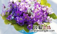 鲜花花瓶的制作方法图片 鲜花花瓶的制作方法