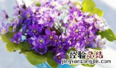 花瓶里放什么延长花期 花瓶里放什么可以延长花期