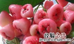 莲雾是无花果吗 莲雾是无花果吗有花吗