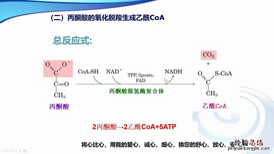 氧化铁和一氧化碳反应生成什么