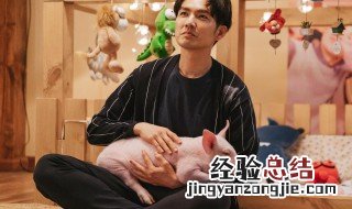 养猪喜欢是什么意思 网络上饲养员是什么意思
